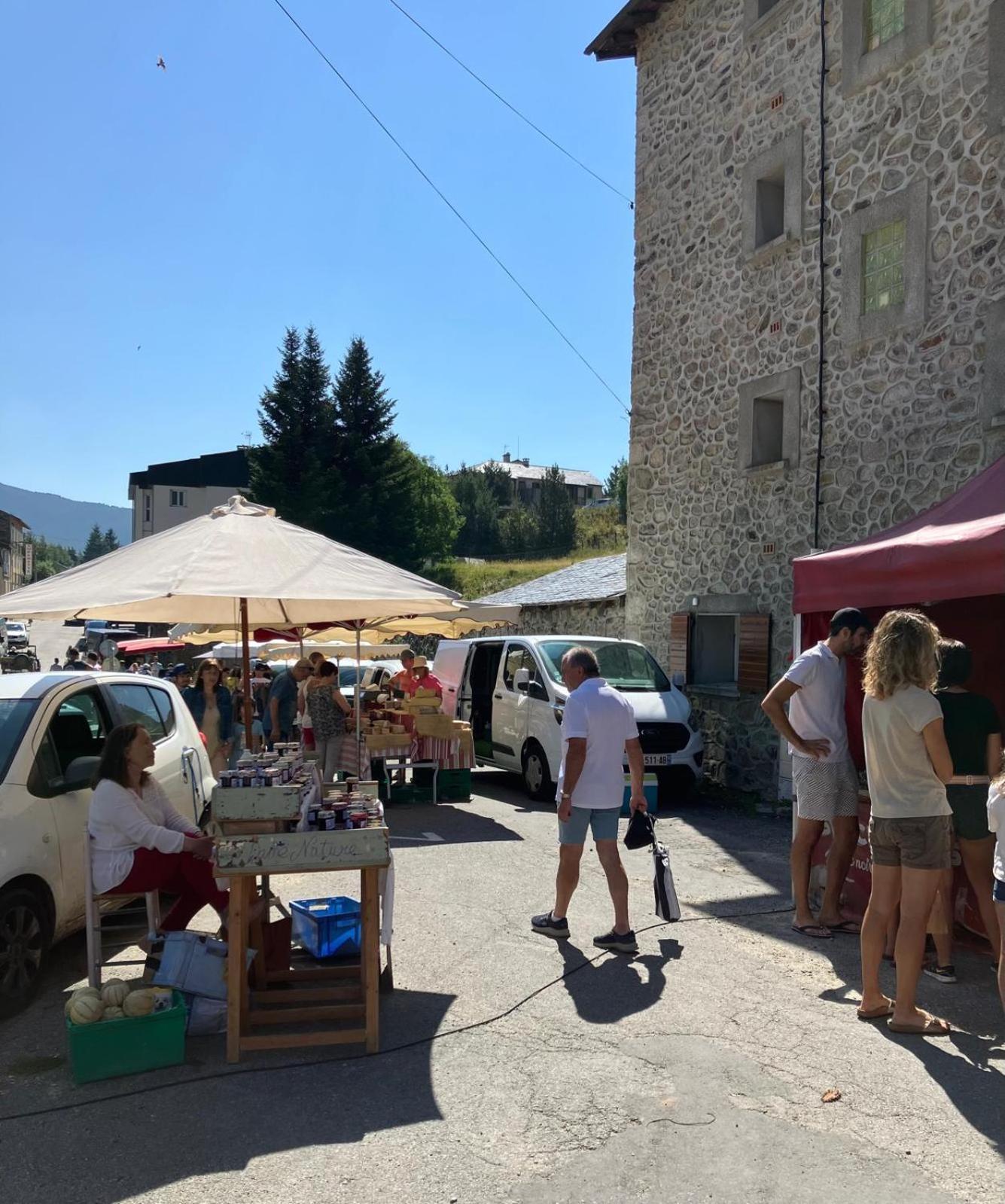 La Grange T2 Centre Ville Jardin Wifi Formiguères المظهر الخارجي الصورة